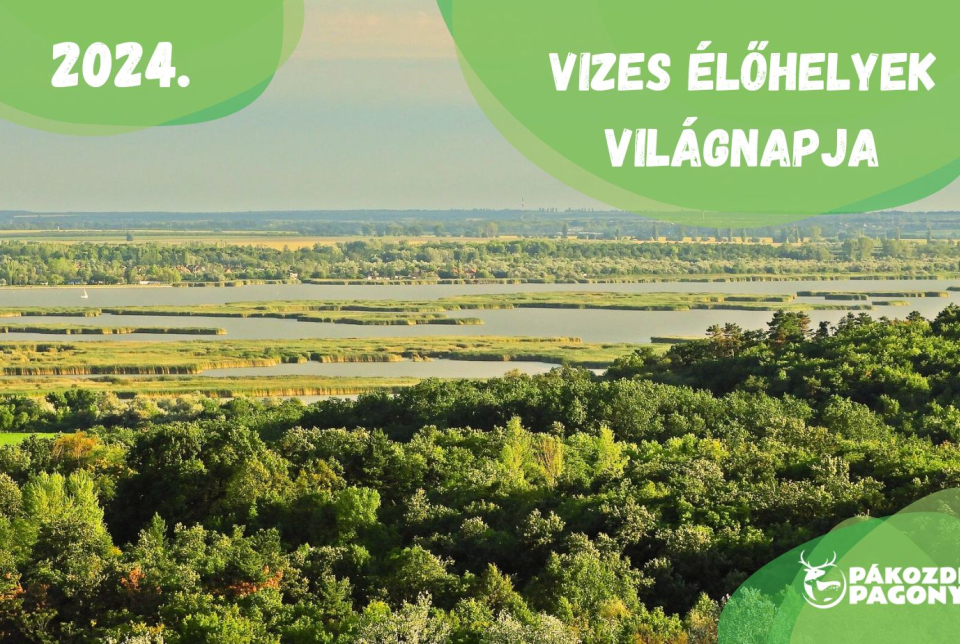 Vizes Élőhelyek Világnapja