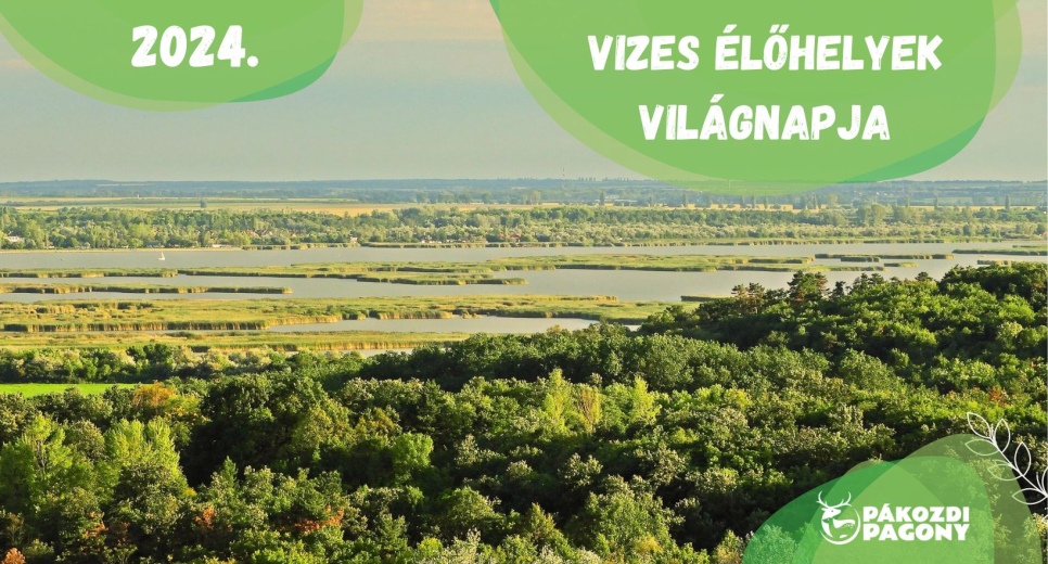 Vizes Élőhelyek Világnapja Vizes Élőhelyek Világnapja