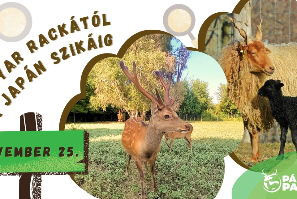 Magyar rackától a Japán szikáig