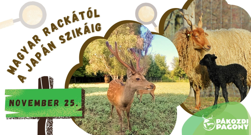 Magyar rackától a Japán szikáig Magyar rackától a Japán szikáig