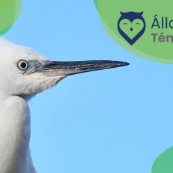 Állatvédelmi témahét - Állatvédelem a hazai erdőkben és a vadasparkban - Október 8.