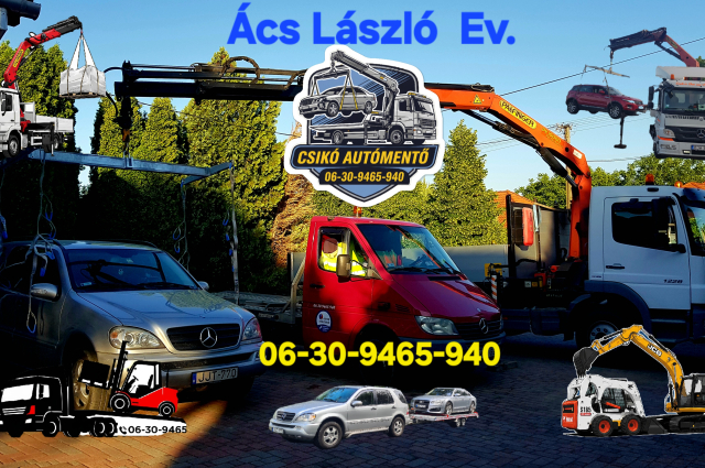 Ács László  EV.