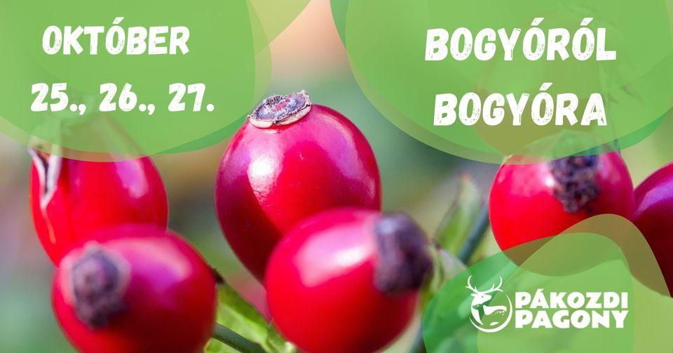Bogyóról bogyóra - növényismereti túra (regisztrációval)
