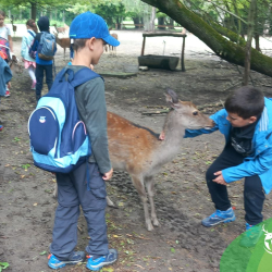 Szika Szombat a Pákozdi Pagonyban!