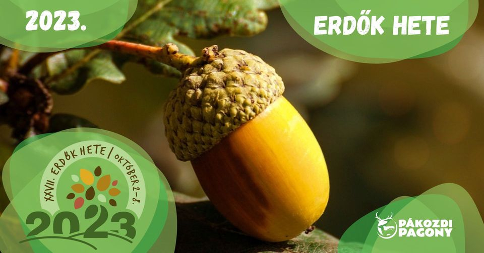 Erdők Hete - Október 7. Szombati program Erdők Hete - Október 7. Szombati program