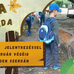 Szika Szerda