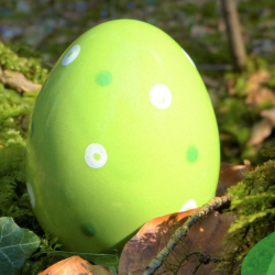 Szika szerda a Pákozdi Pagony - Vadaspark és Arborétumban