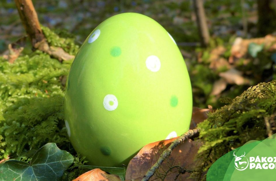 Szika szerda a Pákozdi Pagony - Vadaspark és Arborétumban