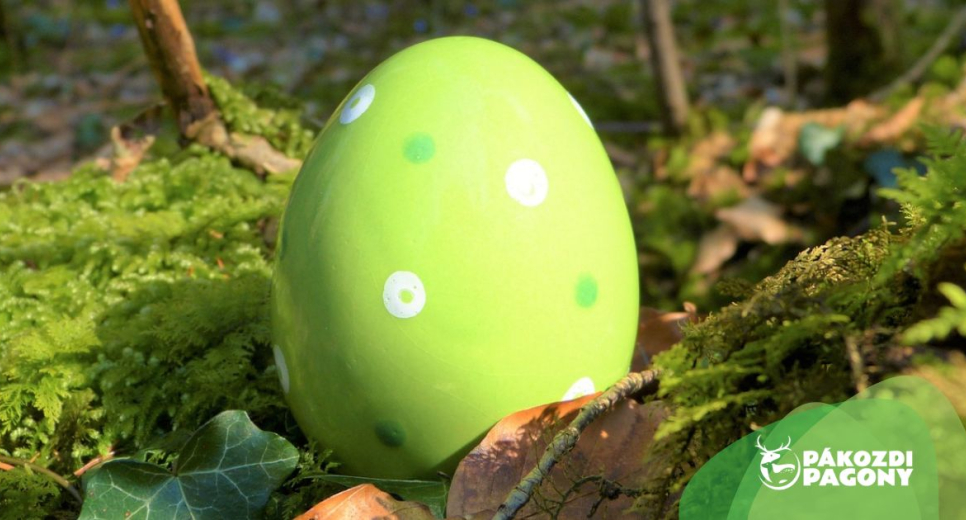Szika szerda a Pákozdi Pagony - Vadaspark és Arborétumban Szika szerda a Pákozdi Pagony - Vadaspark és Arborétumban