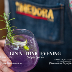 Gin & Tonic evening Gin kóstoló a Gulyás Csárdában - Magyar Ginek estje
