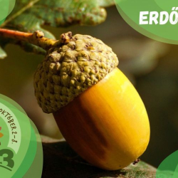 Erdők hete a Pákozdi Pagonyban - Október 2-4.