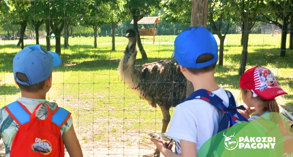 Állatismereti séta a Pákozdi Pagonyban