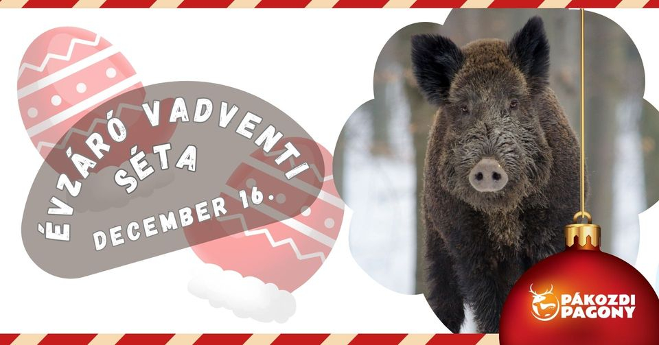 Évzáró VADventi séta a Pákozdi Pagonyban